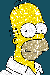 homer1.gif